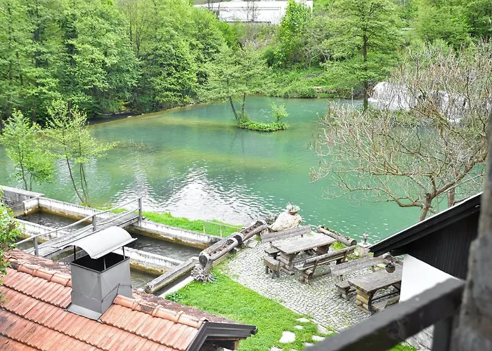 Prenociste Slapovi * Jajce